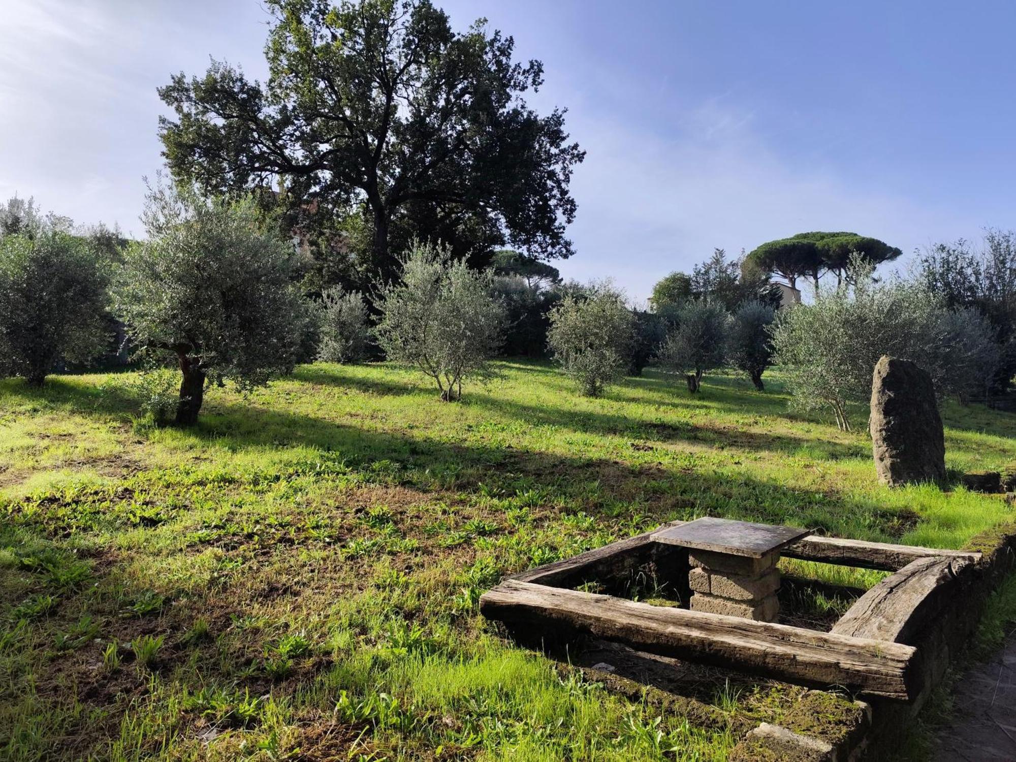 Green Hotel Poggio Regillo Frascati Buitenkant foto